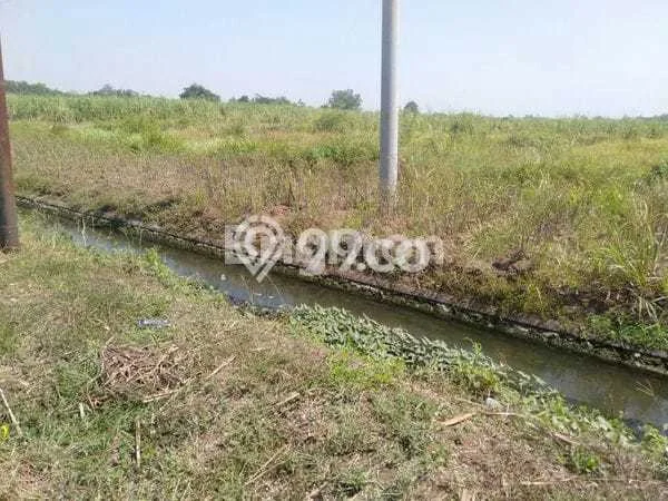 Tanah Dijual Lokasi Jombang Jombang SHM Tanah Dijual Lokasi Jombang Jombang SHM
