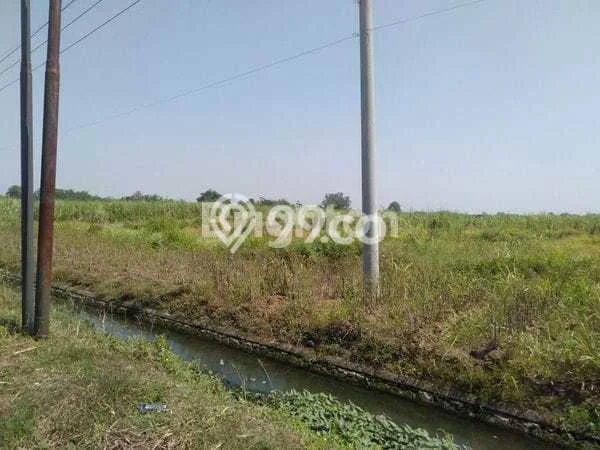 Tanah Dijual Lokasi Jombang Jombang SHM Tanah Dijual Lokasi Jombang Jombang SHM