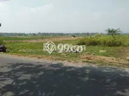 Tanah untuk Dijual di Jombang Jombang Luas 4104m2 Tanah untuk Dijual di Jombang Jombang Luas 4104m2