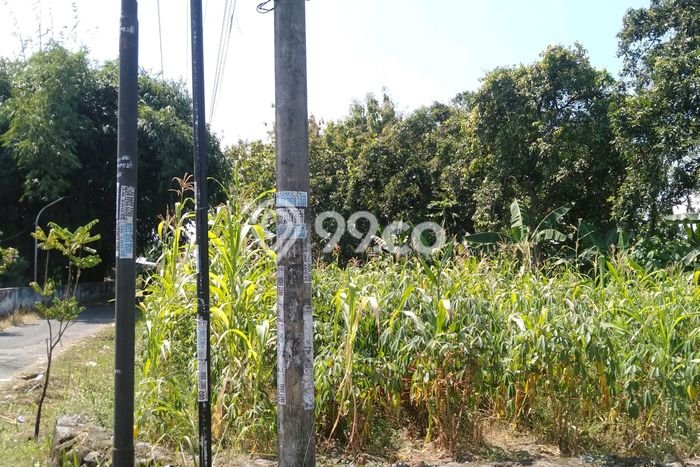 Tanah Dijual Lokasi Jombang, Jombang Luas 2829m2 Legalitas Aman Tanah Dijual Lokasi Jombang, Jombang Luas 2829m2 Legalitas Aman