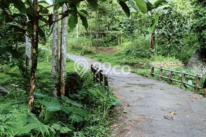 Tanah Dijual Lokasi Wonosalam, Jombang Luas 2995m2 Legalitas Aman Tanah Dijual Lokasi Wonosalam, Jombang Luas 2995m2 Legalitas Aman