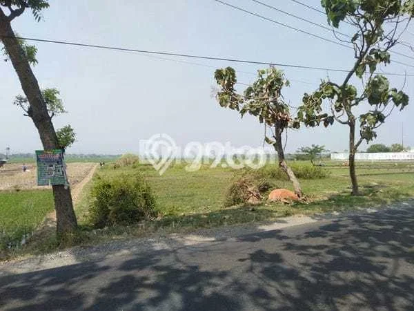 Tanah untuk Dijual di Jombang Jombang Luas 4104m2 Tanah untuk Dijual di Jombang Jombang Luas 4104m2