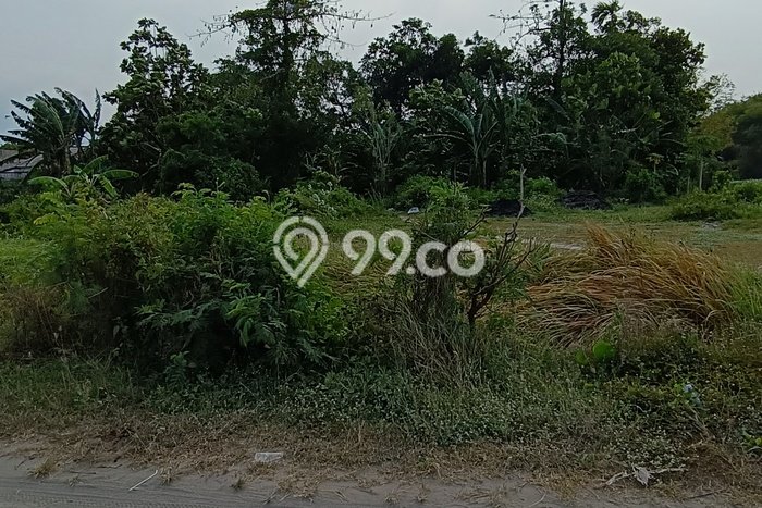 Tanah di Jombang, Jombang Luas 471m2 Dijual Segera Tanah di Jombang, Jombang Luas 471m2 Dijual Segera