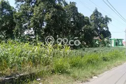 Tanah Dijual Lokasi Jombang, Jombang Luas 2829m2 Legalitas Aman Tanah Dijual Lokasi Jombang, Jombang Luas 2829m2 Legalitas Aman