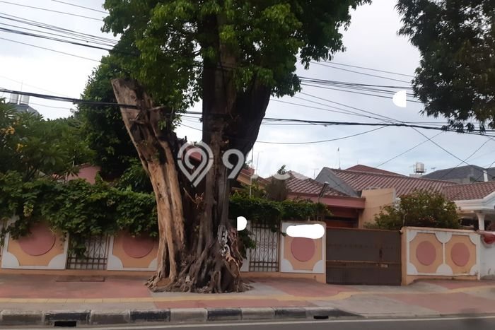 For Sale! Premium House LT 563m2 Desain Modern di Pulomas For Sale! Premium House LT 563m2 Desain Modern di Pulomas