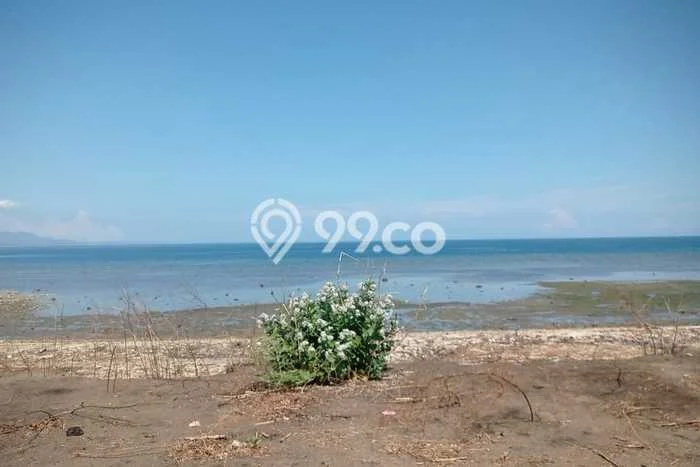 Lahan Investasi Lokasi Sumbawa Sumbawa SHM Lahan Investasi Lokasi Sumbawa Sumbawa SHM