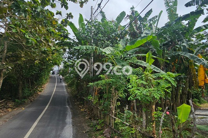 Tanah Kavling Dijual di Kutuh, Badung dengan Luas Tanah 1700m2 Tanah Kavling Dijual di Kutuh, Badung dengan Luas Tanah 1700m2