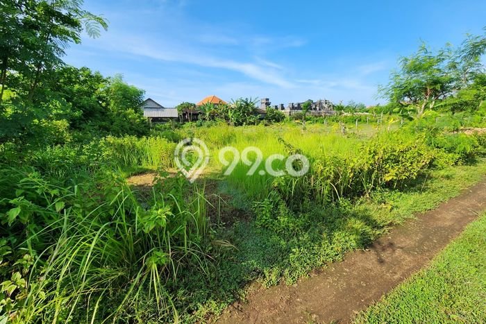 Tanah Dijual di Bangli Seluas 650m2 Strategis Tanah Dijual di Bangli Seluas 650m2 Strategis