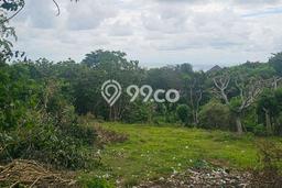 Lahan Dijual Lokasi Strategis di Badung dengan Luas 3000m2 Lahan Dijual Lokasi Strategis di Badung dengan Luas 3000m2