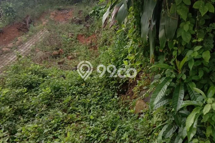 Lahan Dijual Lokasi Rangkasbitung, Lebak dengan Luas Tanah 33000m2 dan Status SHM Lahan Dijual Lokasi Rangkasbitung, Lebak dengan Luas Tanah 33000m2 dan Status SHM