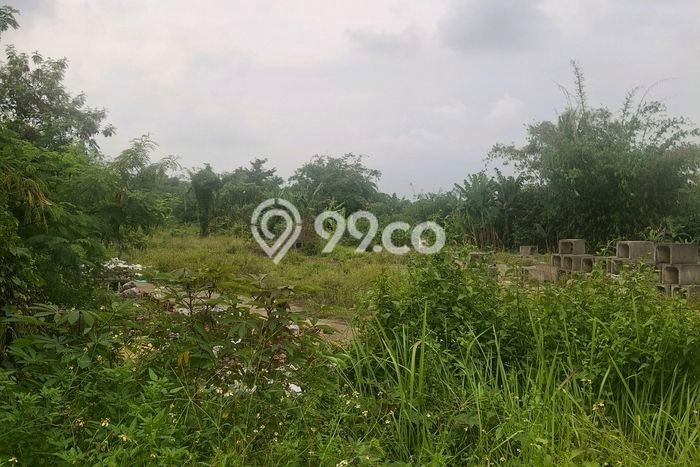 Lahan untuk Dijual di Serang Serang Luas 170000m2 Lahan untuk Dijual di Serang Serang Luas 170000m2