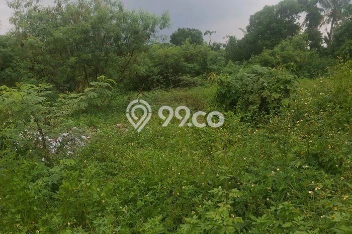 Lahan untuk Dijual di Serang Serang Luas 170000m2 Lahan untuk Dijual di Serang Serang Luas 170000m2