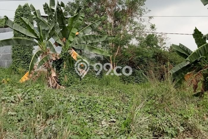 Kavling Tanah Dijual di Citangkil, Cilegon, Luas 2000m2 Area Strategis Kavling Tanah Dijual di Citangkil, Cilegon, Luas 2000m2 Area Strategis