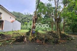 Tanah Kavling Dijual di BSD The Green, Tangerang dengan Luas Tanah 315m2 Tanah Kavling Dijual di BSD The Green, Tangerang dengan Luas Tanah 315m2