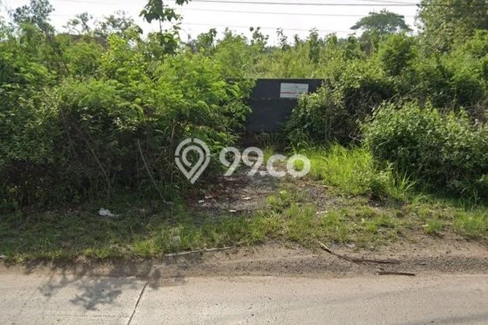 Tanah Kavling untuk Dijual di Bumi Ratu Nuban Lampung Tengah 9852m2 Tanah Kavling untuk Dijual di Bumi Ratu Nuban Lampung Tengah 9852m2
