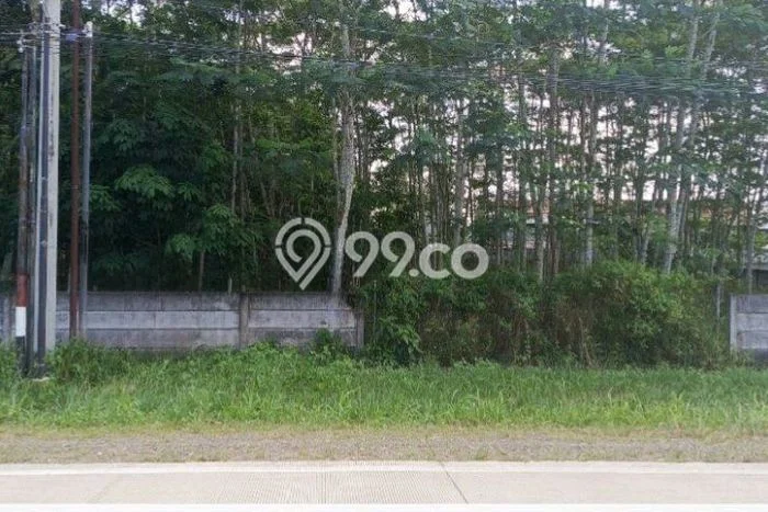 Dijual Tanah di Jati Agung Lampung Selatan Luas 1980m2 SHM Dijual Tanah di Jati Agung Lampung Selatan Luas 1980m2 SHM