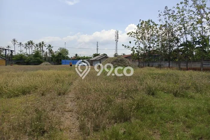 Tanah di Natar, Lampung Selatan Luas 11280m2 Dijual Segera Tanah di Natar, Lampung Selatan Luas 11280m2 Dijual Segera