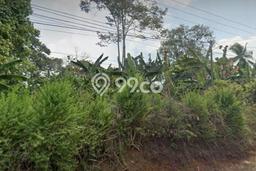 Tanah Dijual Lokasi Talang Padang Tanggamus SHM Tanah Dijual Lokasi Talang Padang Tanggamus SHM