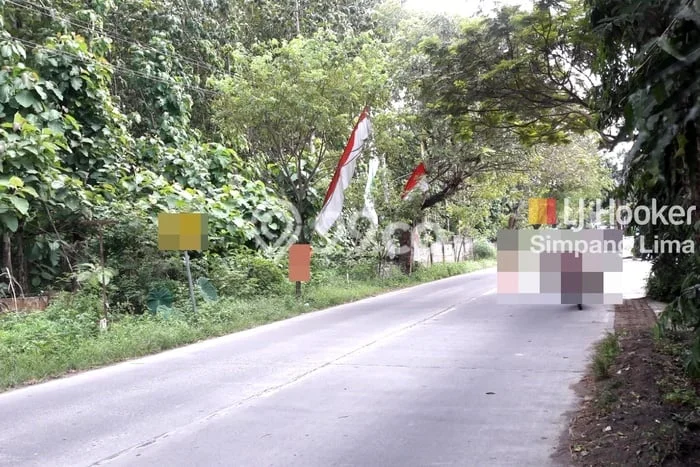 Disewakan Tanah di Tembalang Luas 5340m2 SHM Disewakan Tanah di Tembalang Luas 5340m2 SHM