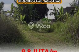 Jarang Ada! Tanah di Sidorejo Punya Luas 3300m2 - Jarang Ada! Tanah di Sidorejo Punya Luas 3300m2 -