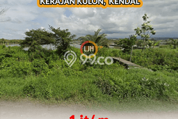 Dijual Tanah di Kendal Kendal Luas 5025m2 SHM Dijual Tanah di Kendal Kendal Luas 5025m2 SHM