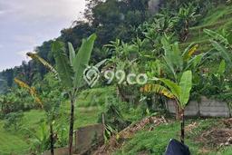Tanah Dijual Area Strategis di Sariwangi Bandung 7079m2 Tanah Dijual Area Strategis di Sariwangi Bandung 7079m2