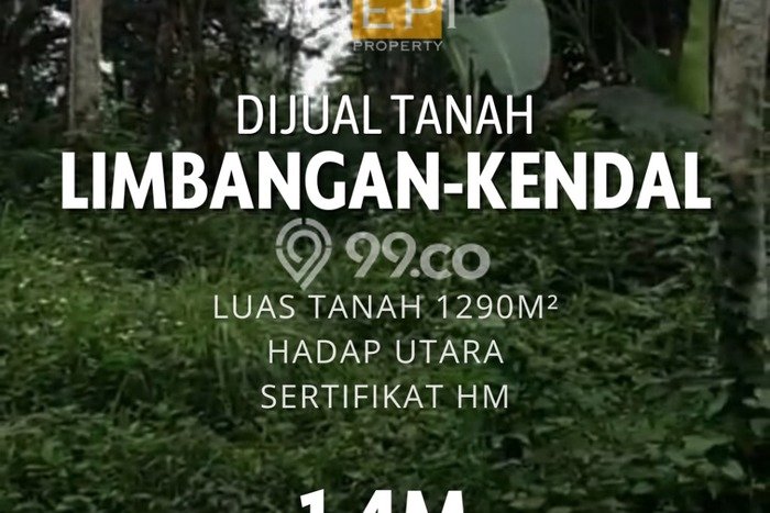Lahan Kosong Dijual di Kendal dengan Area 1298m2 Lahan Kosong Dijual di Kendal dengan Area 1298m2