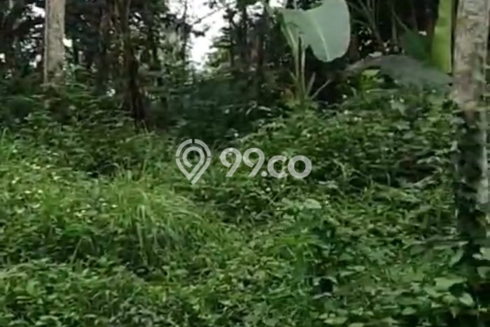 Lahan Kosong Dijual di Kendal dengan Area 1298m2 Lahan Kosong Dijual di Kendal dengan Area 1298m2