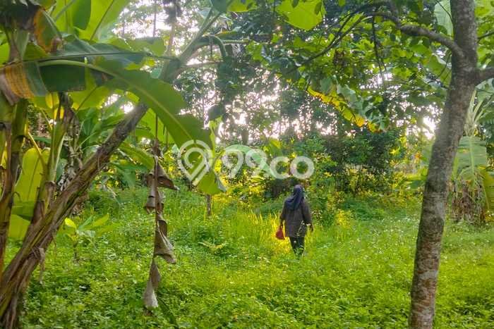Kavling Tanah Dijual di Mijen Semarang Spesifikasi 134m2 Kavling Tanah Dijual di Mijen Semarang Spesifikasi 134m2
