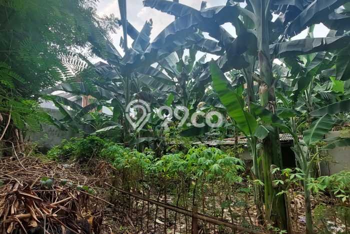 Kavling Tanah di Pesanggrahan Dijual Luas 810m2 Legalitas SHM Kavling Tanah di Pesanggrahan Dijual Luas 810m2 Legalitas SHM