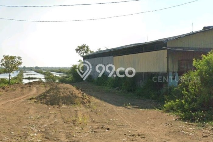 Jarang Ada! Tanah di Losari Punya Luas 6180m2 SHM Jarang Ada! Tanah di Losari Punya Luas 6180m2 SHM
