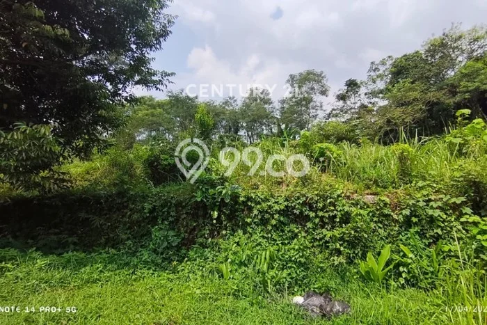 Kavling Tanah di Cilimus Dijual Luas 7990m2 Legalitas SHM Kavling Tanah di Cilimus Dijual Luas 7990m2 Legalitas SHM