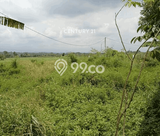 Tanah di Beber, Cirebon Luas 1180m2 Dijual Segera Tanah di Beber, Cirebon Luas 1180m2 Dijual Segera