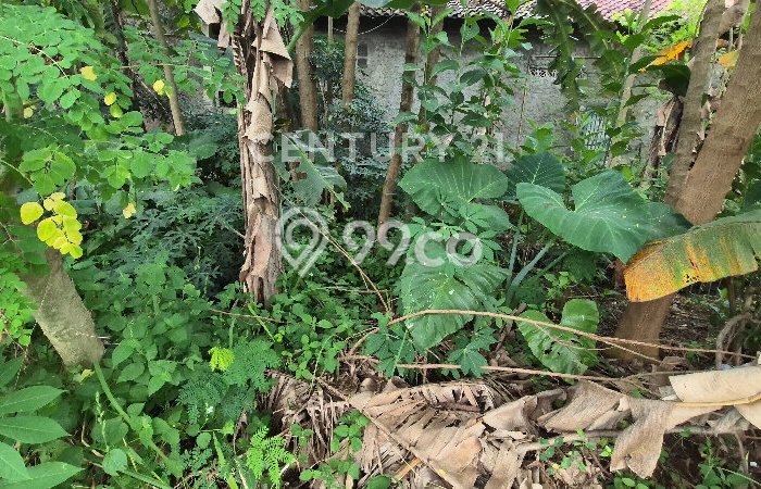Tanah untuk Dijual di Kedawung Cirebon Luas 575m2 Tanah untuk Dijual di Kedawung Cirebon Luas 575m2