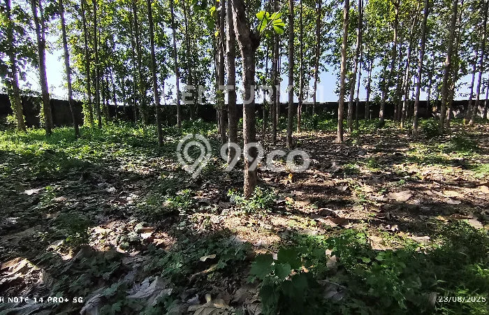 Lahan untuk Dijual di Waled Cirebon Luas 10720m2 Lahan untuk Dijual di Waled Cirebon Luas 10720m2