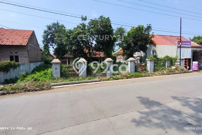 Lahan Disewakan di Pabedilan, Cirebon, Luas 1600m2 SHM Lahan Disewakan di Pabedilan, Cirebon, Luas 1600m2 SHM