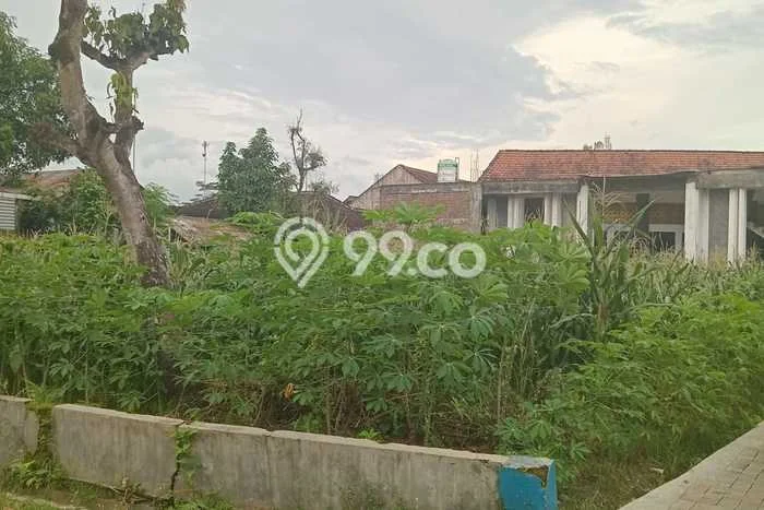 Tanah Dijual Lokasi Kepanjen Malang SHM Tanah Dijual Lokasi Kepanjen Malang SHM