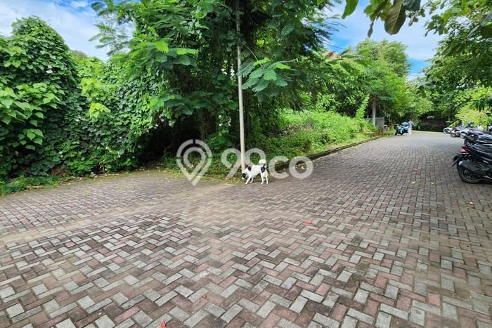 Tanah Investasi Dijual di Badung Punya Luas 2527m2 Tanah Investasi Dijual di Badung Punya Luas 2527m2