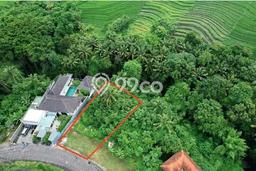 Tanah Dijual Area Strategis di Kedungu Tabanan 3200m2 Tanah Dijual Area Strategis di Kedungu Tabanan 3200m2