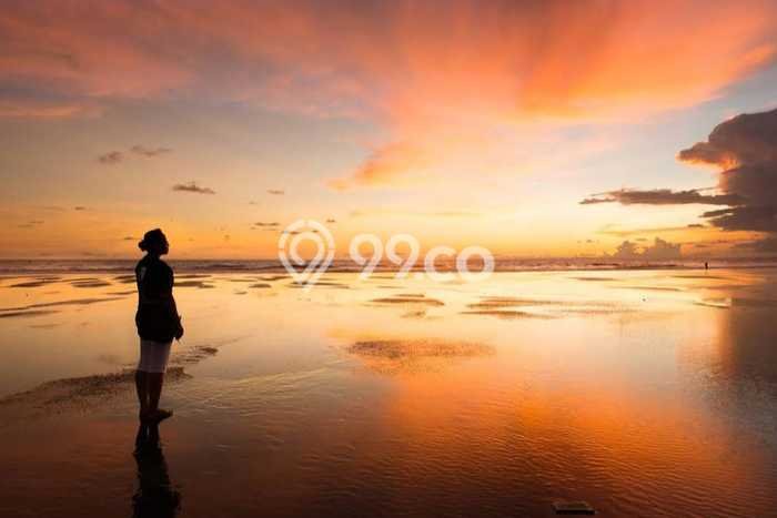 Tanah Kavling Dijual di Tabanan dengan Spesifikasi 272000m2 Tanah Kavling Dijual di Tabanan dengan Spesifikasi 272000m2