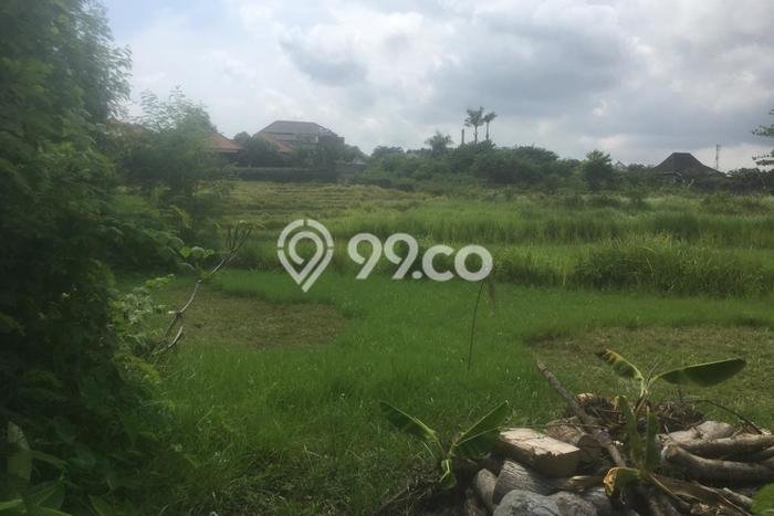 Tanah Dijual di Badung Seluas 2100m2 Strategis Tanah Dijual di Badung Seluas 2100m2 Strategis