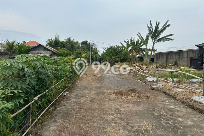 Kavling Tanah untuk Dijual di Kedungu, Tabanan, Luas 100m2 Kavling Tanah untuk Dijual di Kedungu, Tabanan, Luas 100m2