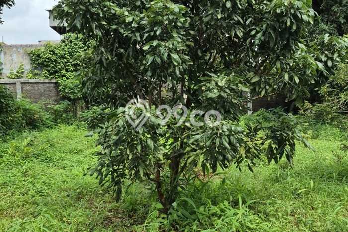 Lahan Kosong Dijual di Bekasi dengan Area 2592m2 Lahan Kosong Dijual di Bekasi dengan Area 2592m2