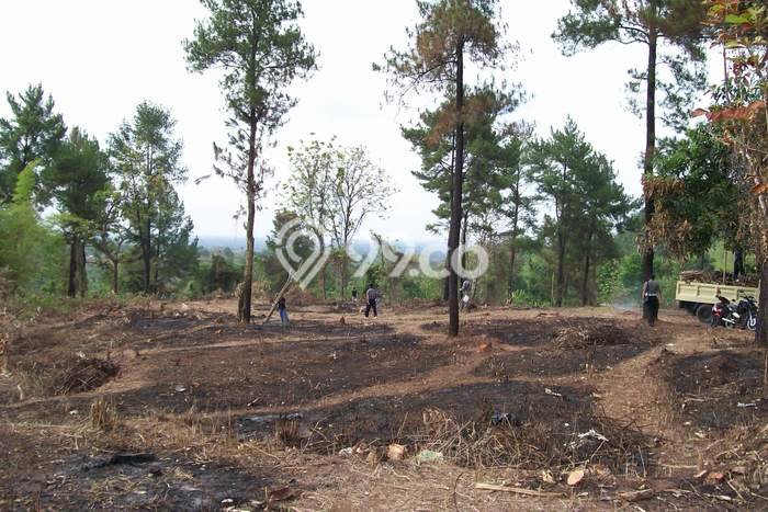 Dijual Tanah di Subang, Luas 24377m2 SHM Dijual Tanah di Subang, Luas 24377m2 SHM