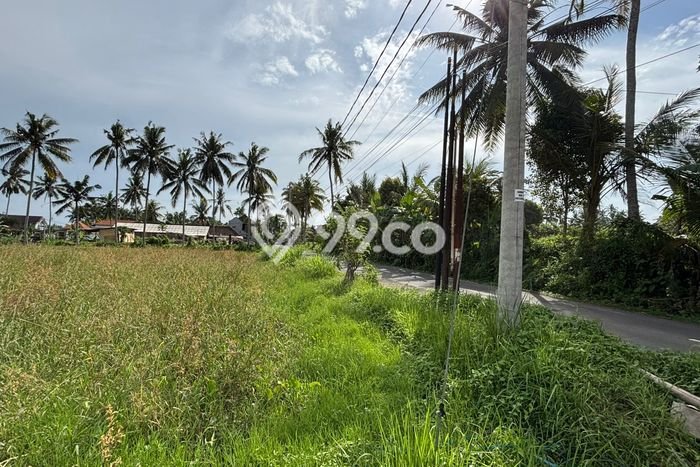 Dijual Tanah Lokasi Pejeng, Gianyar Seluas 2000m2 Dijual Tanah Lokasi Pejeng, Gianyar Seluas 2000m2