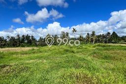 Jarang Ada! Tanah di Ubud Punya Luas 4910m2 SHM Jarang Ada! Tanah di Ubud Punya Luas 4910m2 SHM