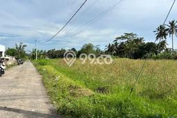Dijual Tanah Lokasi Pejeng, Gianyar Seluas 2000m2 Dijual Tanah Lokasi Pejeng, Gianyar Seluas 2000m2
