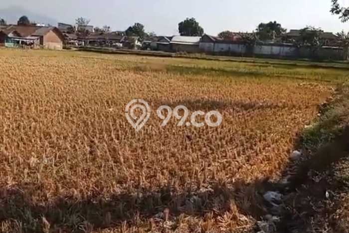 Tanah Kavling untuk Dijual di Cicalengka Bandung 2210m2 Tanah Kavling untuk Dijual di Cicalengka Bandung 2210m2