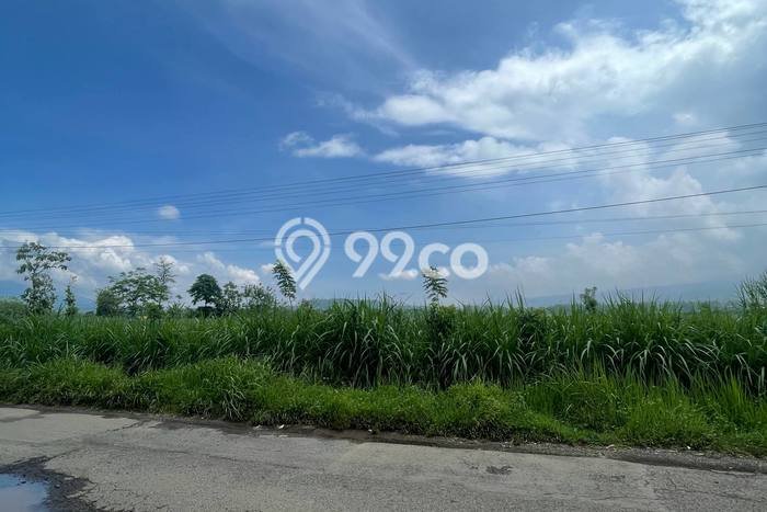 Lahan Kosong Dijual di Malang dengan Area 3187m2 Lahan Kosong Dijual di Malang dengan Area 3187m2