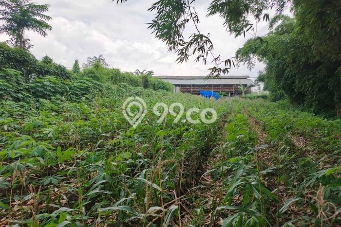 Tanah di Sukun, Malang Luas 1635m2 Dijual Segera Tanah di Sukun, Malang Luas 1635m2 Dijual Segera